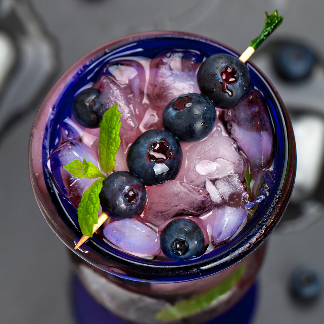 Blueberry Lemon Spritzer