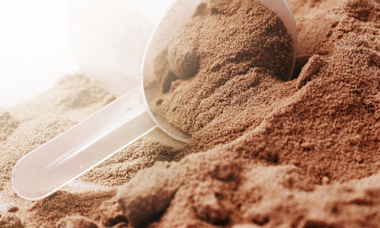 The Differences Between Grass-Fed Whey and Regular Protein